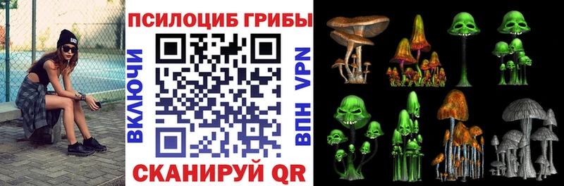 блэк спрут   Шахунья  Галлюциногенные грибы ЛСД 