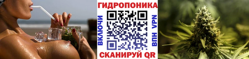 где купить наркоту  Шахунья  Бошки марихуана MAZAR 